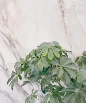 每一個空間，都是獨一無二的藝術品｜石材訂製｜奢石裝潢台中