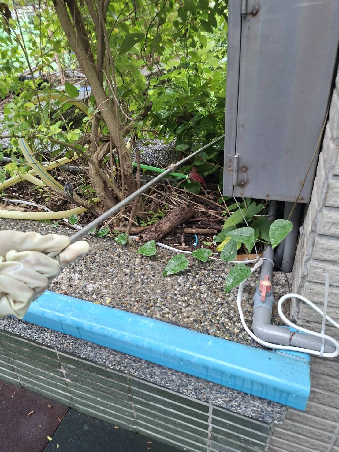 新北市學校清潔/秀朗國小外圍清洗
