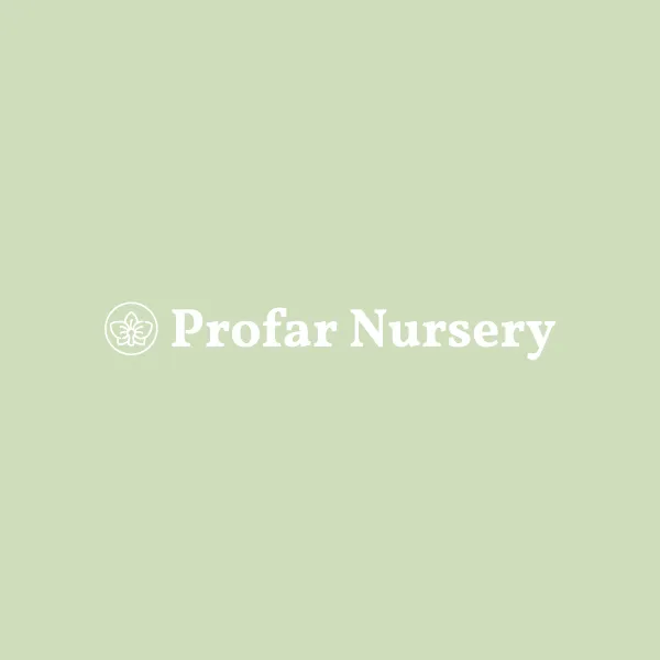 Profar Nursery