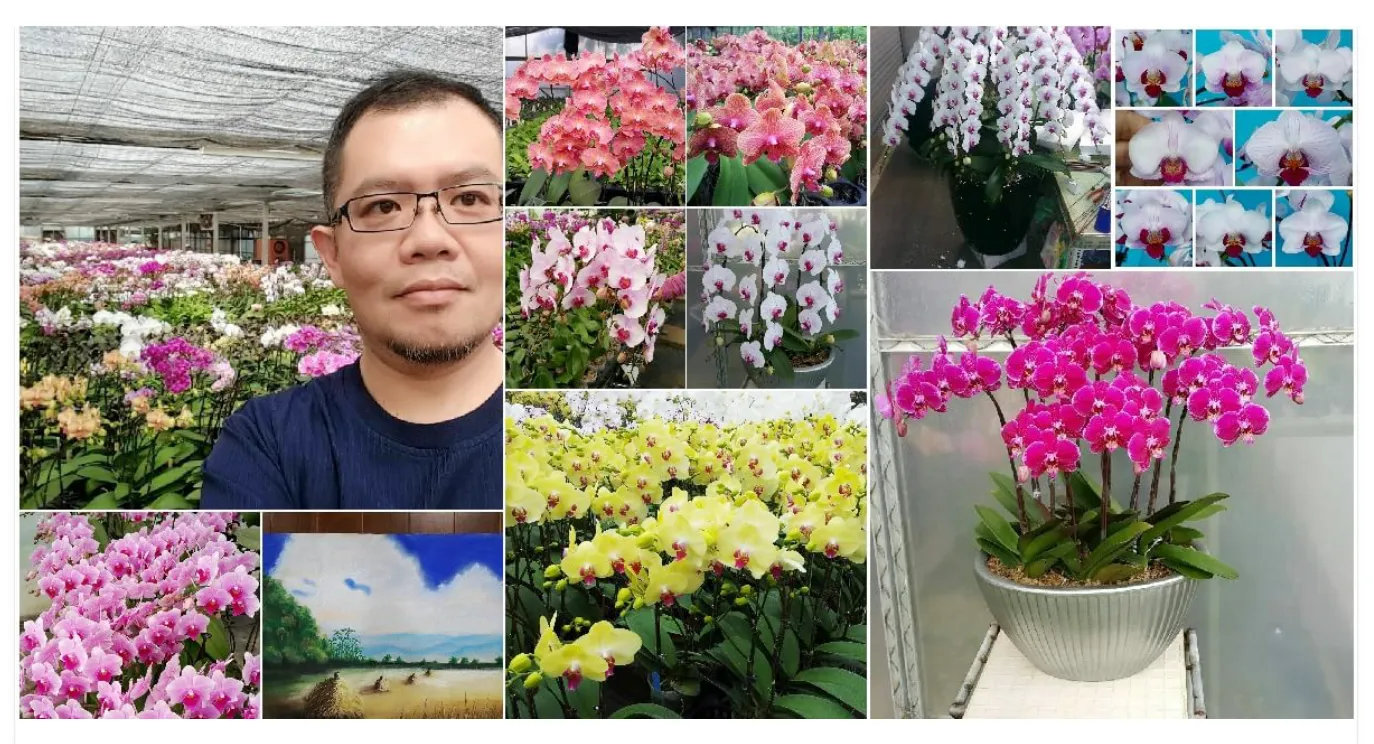 Profar Nursery