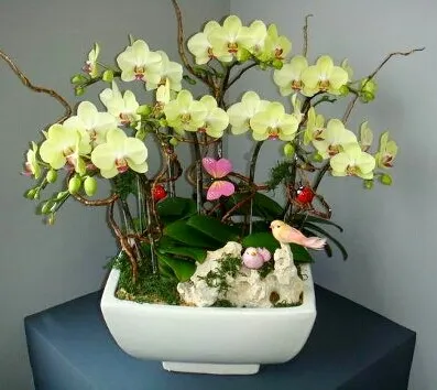 P. Fortune Saltzman