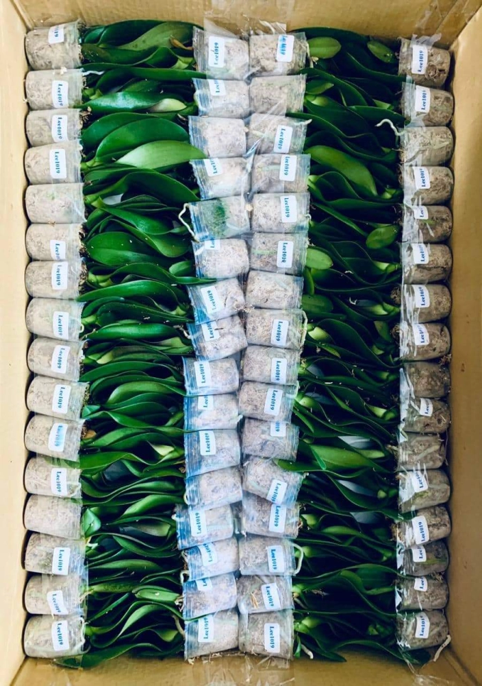 Package of 1.7