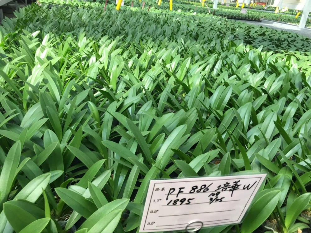 1.7