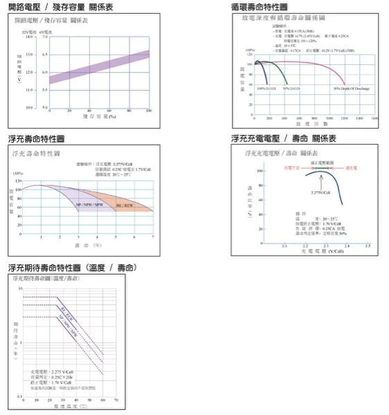 (鋐瑞電池) 預購制 YUASA 湯淺 NP65-12 閥調密閉式鉛酸電池 12V65AH UPS不斷電 露營 海釣