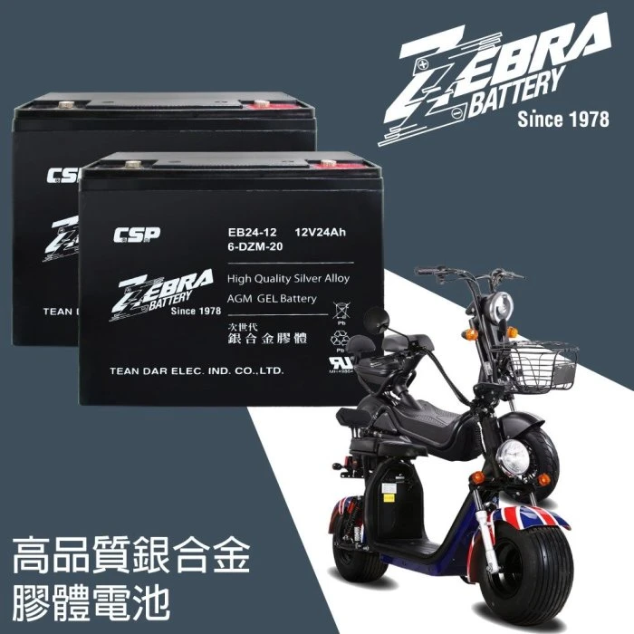一組4顆區 斑馬牌 EB24-12 銀合金 膠體電池12V24Ah/等同6-DZM-20.電動車電池.REC22-12