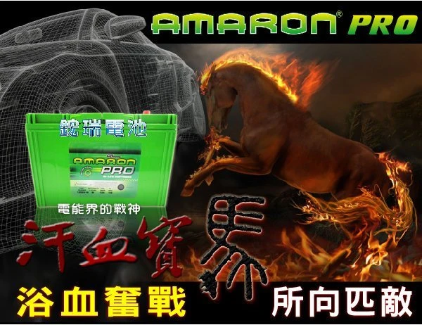 ☆鋐瑞電池☆AMARON愛馬龍(50B19L) 34B19L 38B19L FIT 現代 歐洲之星 限量100顆 大鴨