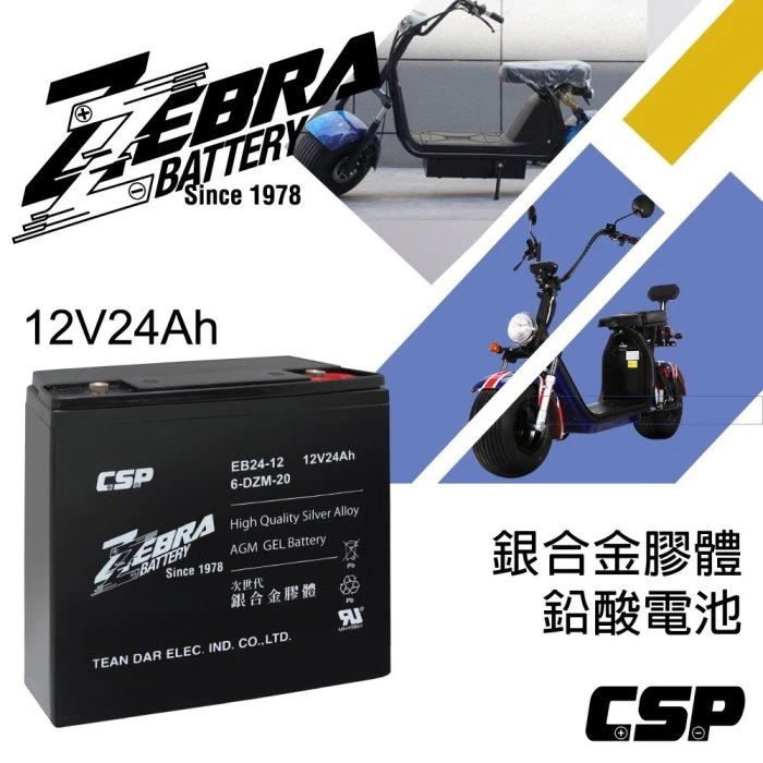 一組4顆區 斑馬牌 EB24-12 銀合金 膠體電池12V24Ah/等同6-DZM-20.電動車電池.REC22-12