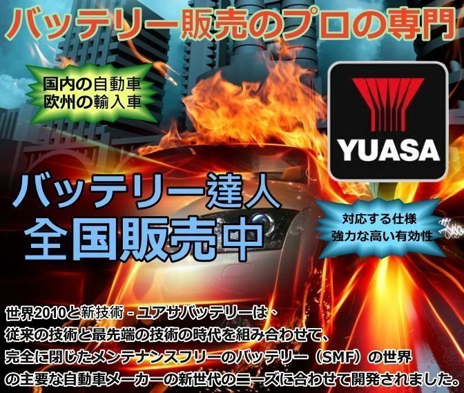 高雄汽車電池 YUASA 湯淺汽車電瓶 免保養 (55566) 55421 55530 56220 56240 統力電池