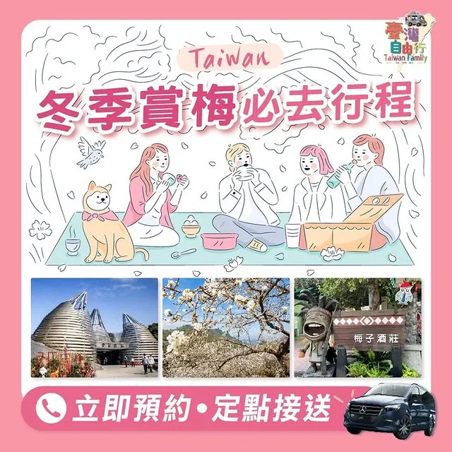 1月份梅花盛開，踏雪尋梅｜包車旅遊/南投包車旅遊/台中一日遊包車/台中長途接送/西屯長途接送