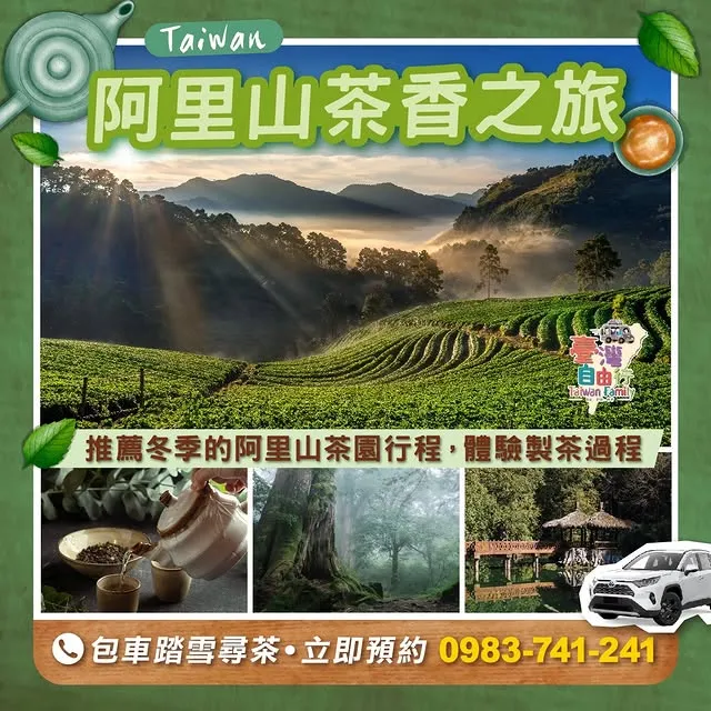 冬季，來一場 茶香與雲海的浪漫邂逅 吧！｜包車旅遊/嘉義包車旅遊/台中機場包車接送/西屯機場包車接送