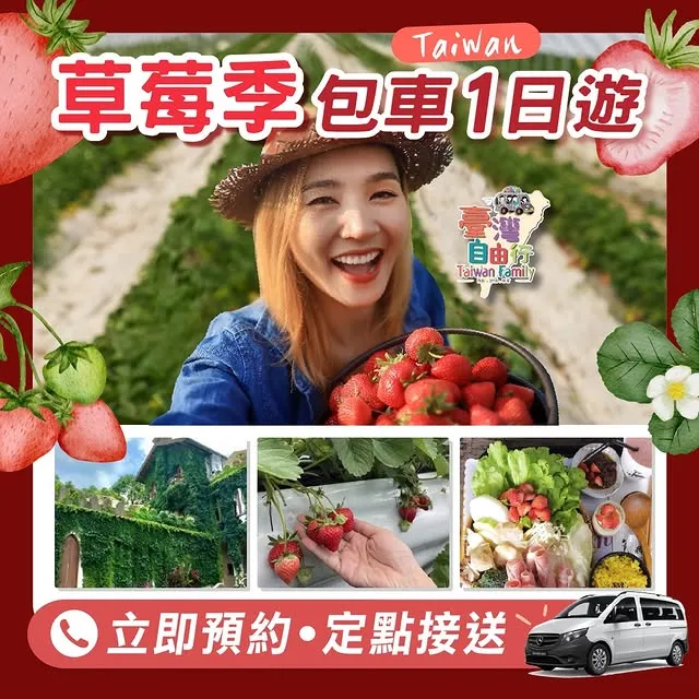 冬天最甜美的季節來了～草莓控的最愛！｜包車旅遊/苗栗包車旅遊/台中八人座包車/台中景點接送