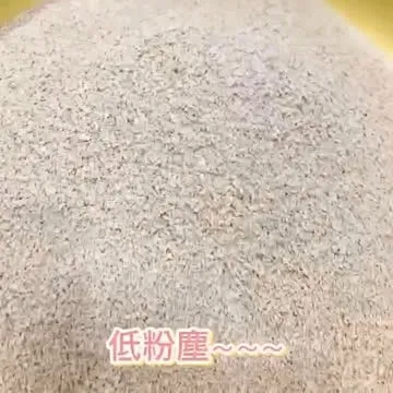 cp值最高的貓砂｜台中貓舍｜太平區貓咪買賣｜台中緬因貓買賣