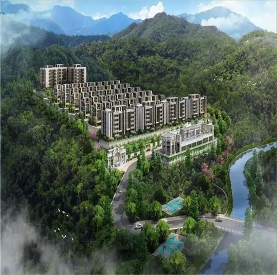 新北市驗屋汐止區｜美麗山林