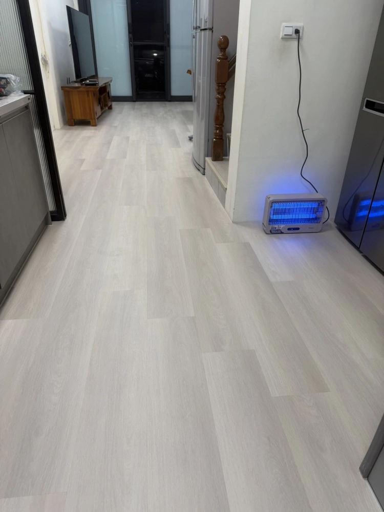 愛麗絲｜英倫風系列－英格蘭