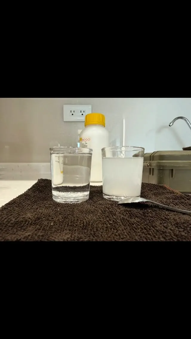 今天也是滿滿的一天。