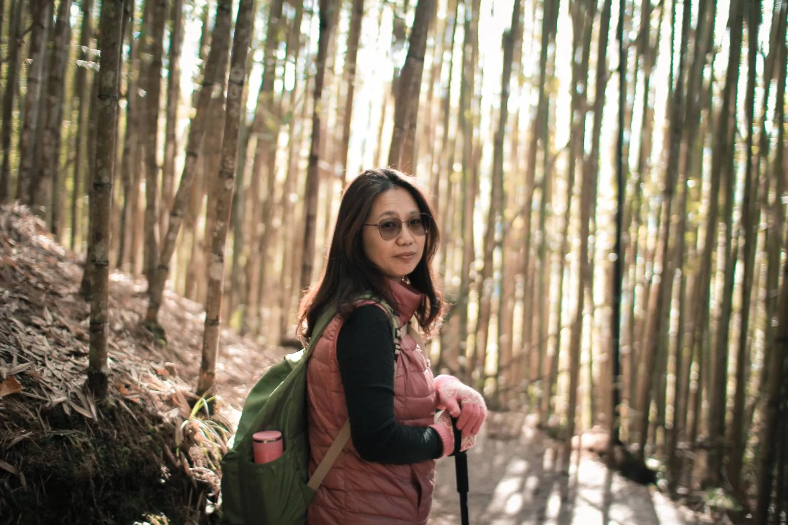 溪頭國家公園-包車旅遊/南投包車旅遊