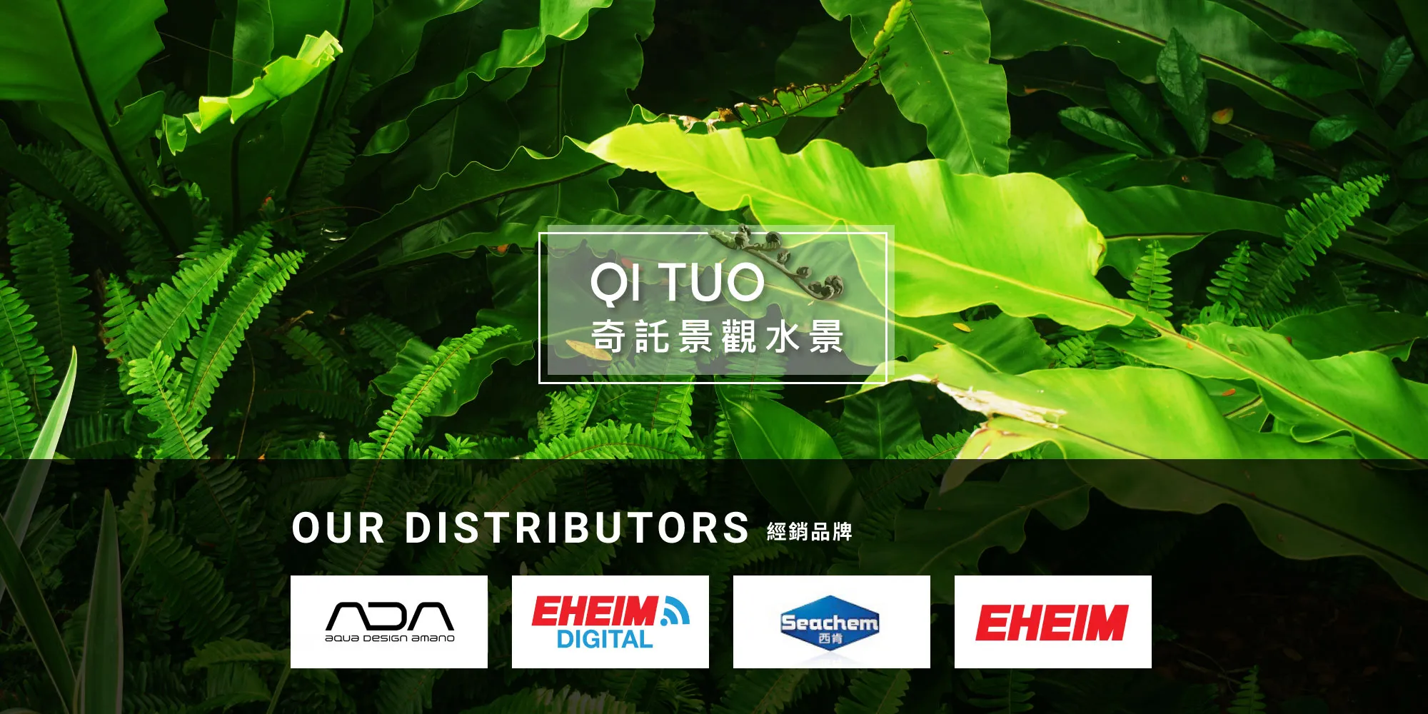 奇託景觀水景-ADA特約店,新竹ADA特約店,竹北ADA特約店