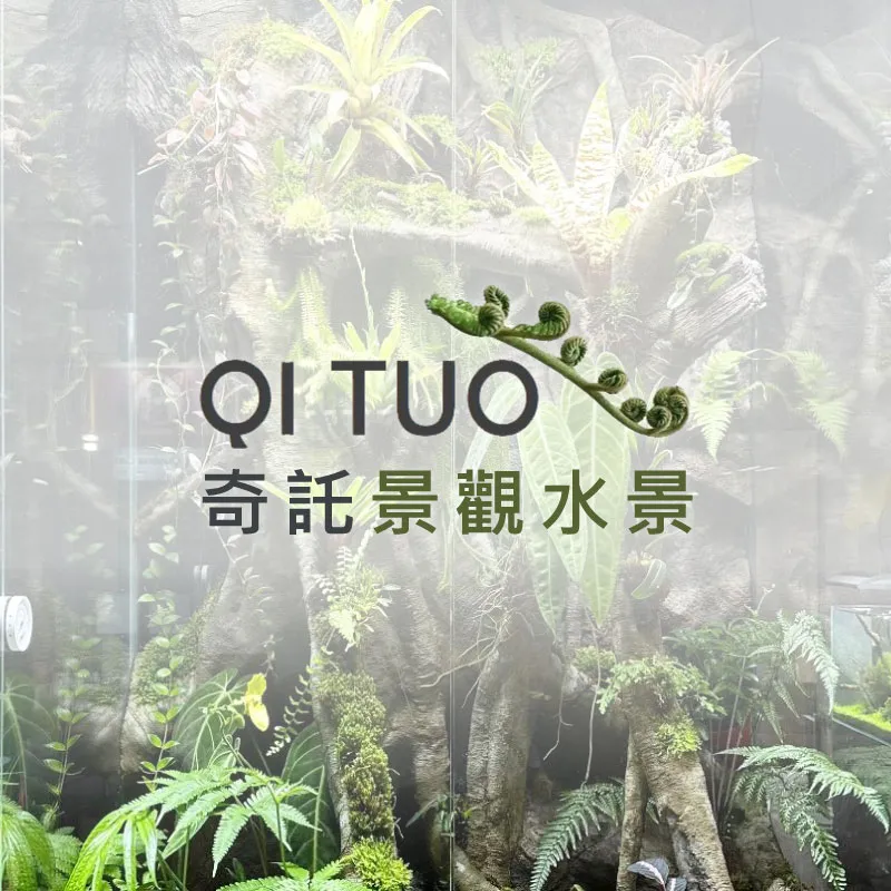 最新消息01