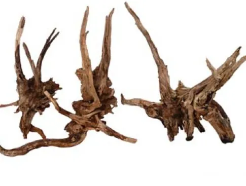 黑纖木/窈窕木/黑檀木 Black Slim Wood