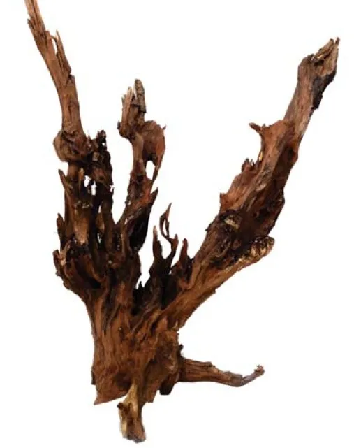 流木 (沉木) Driftwood