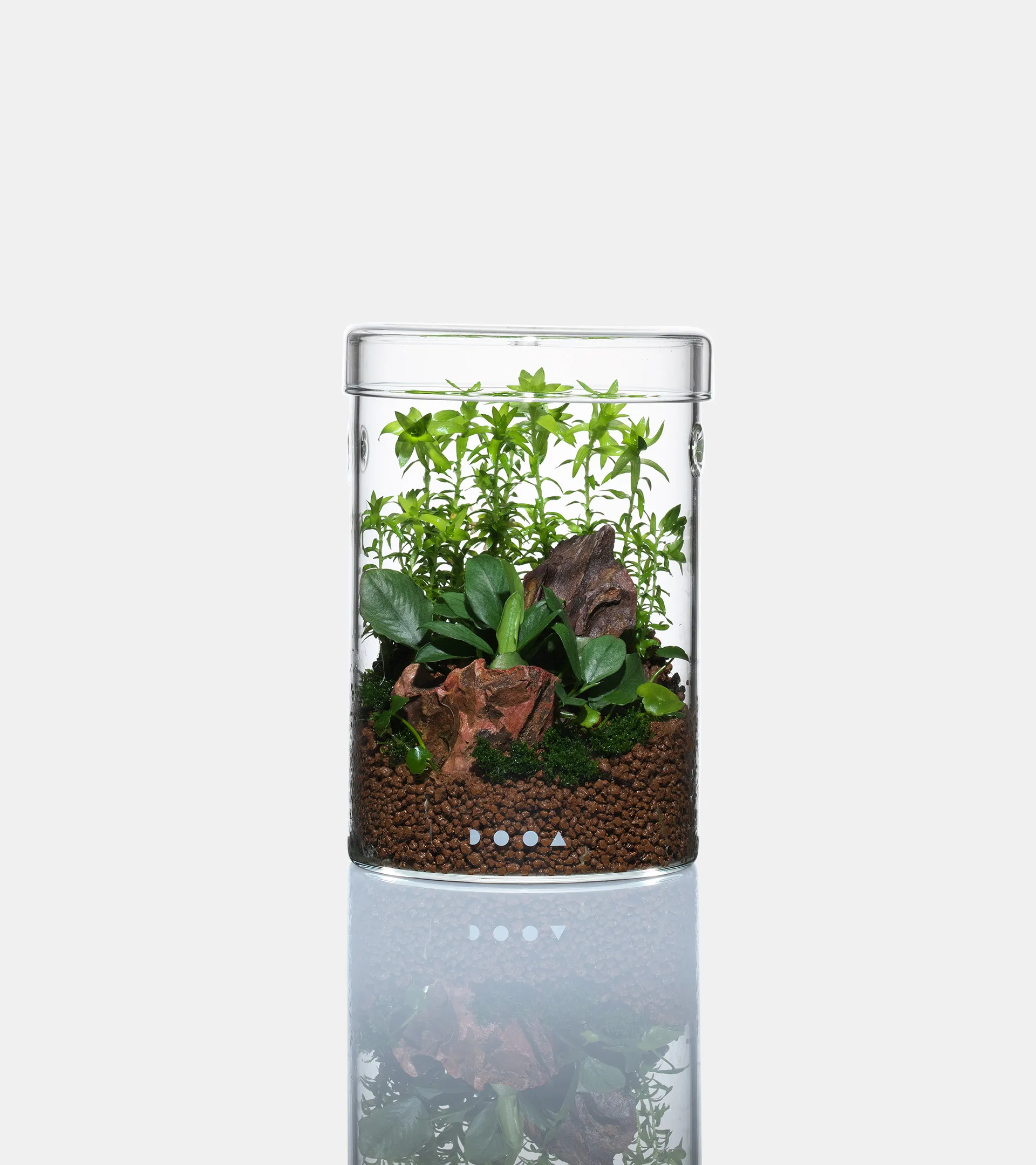 DOOA GLASS POT MARU植物生態瓶