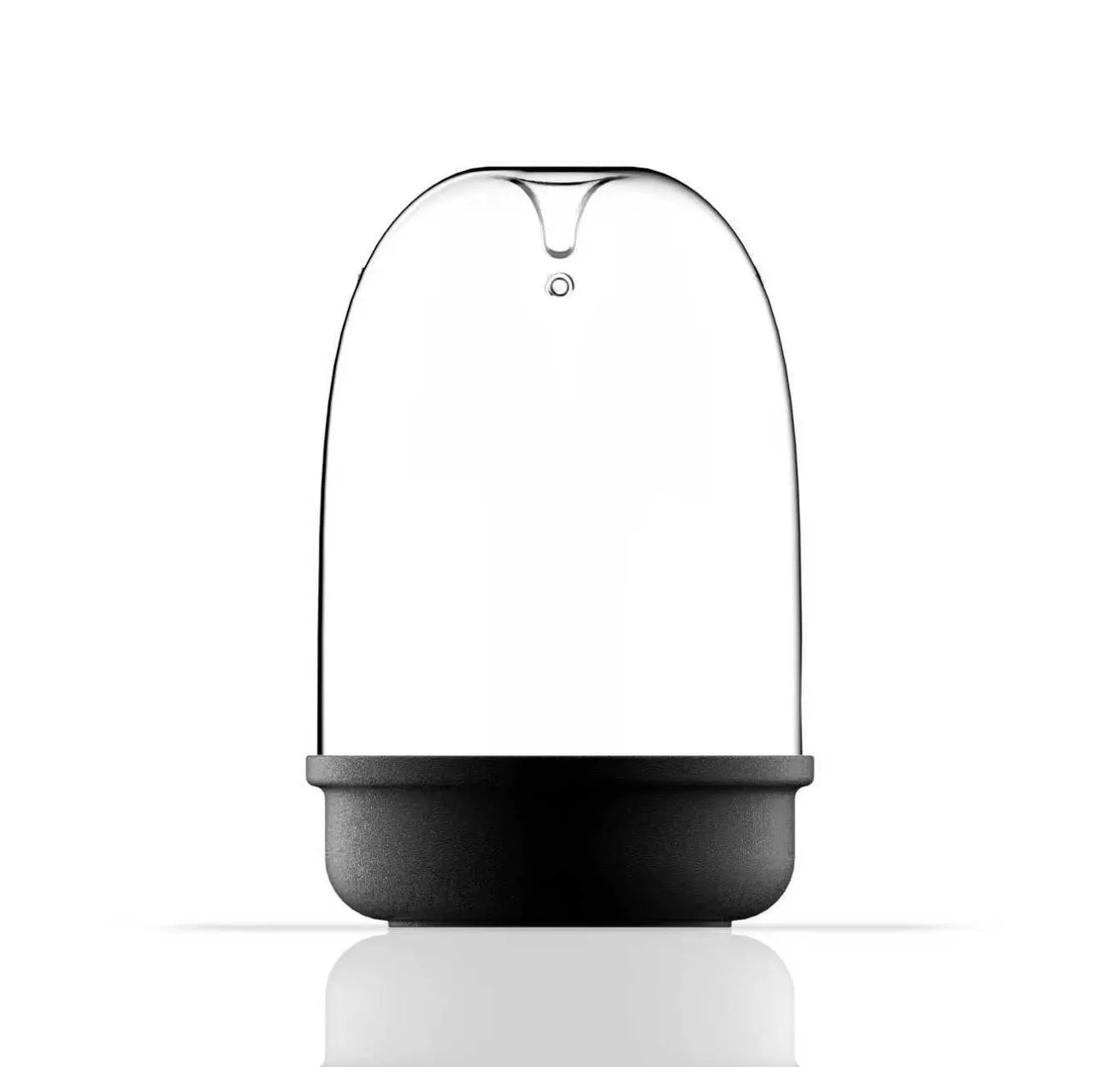 微景觀生態瓶 (圓頂)