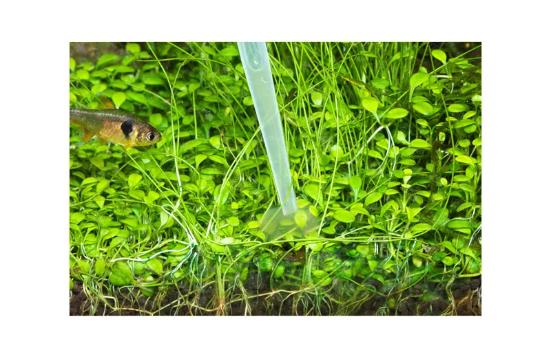 ADA PHYTON-GIT SOL 菲通吉特除藻劑