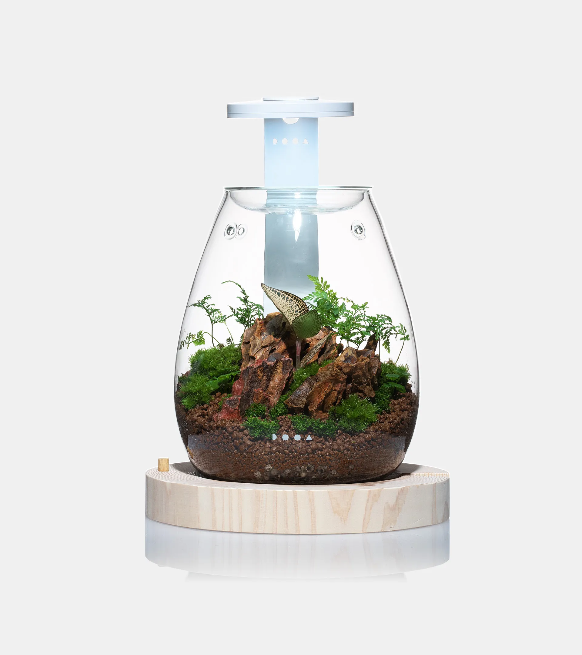 DOOA MAGNET LIGHT G SLIM WOOD BASE SET 木質照明套組