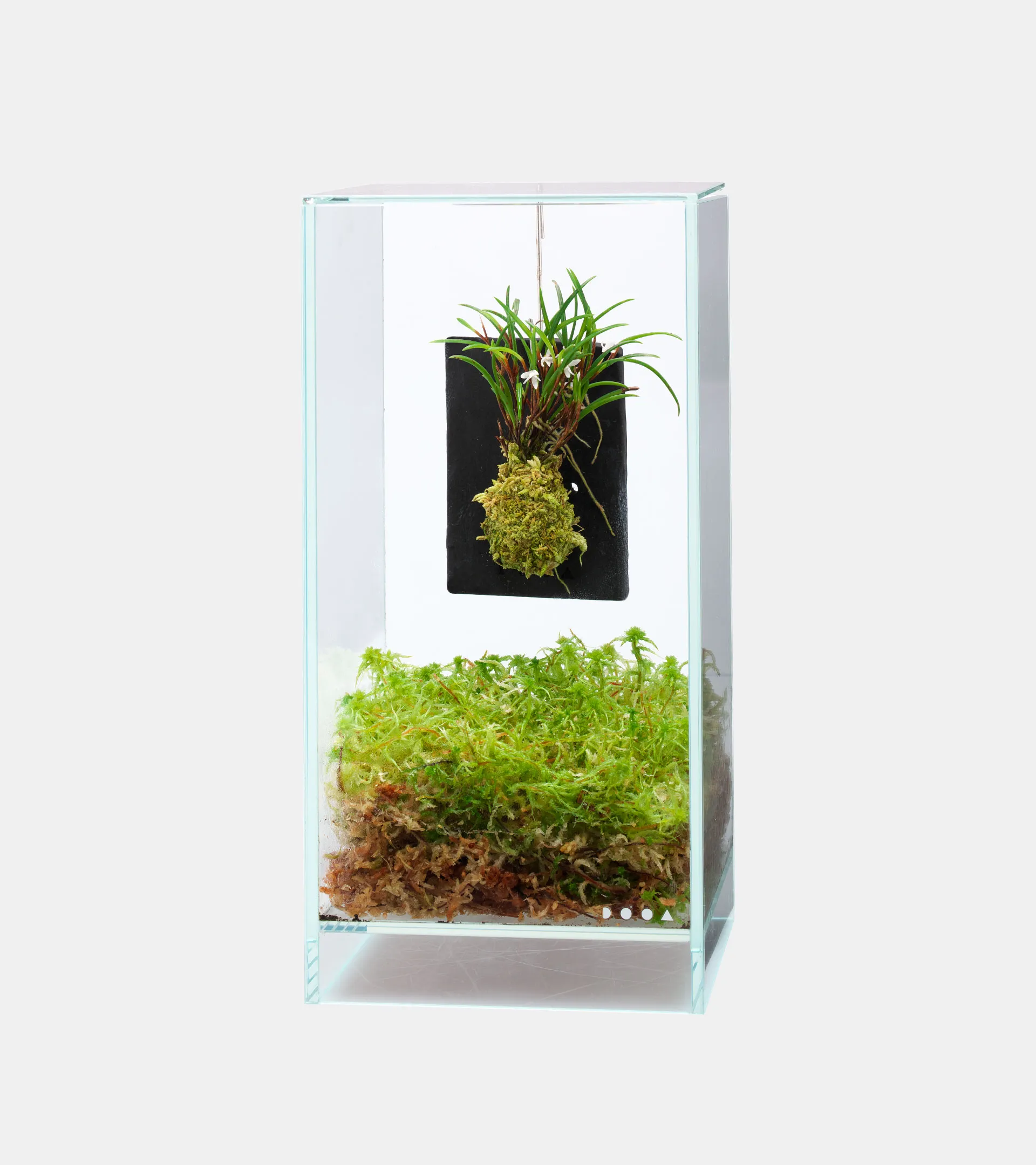 DOOA TERRA PLATE 陶瓷板狀底基