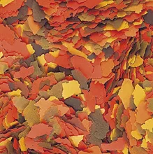 Tropical 德比克 Supervit Flakes 熱帶魚維他薄片