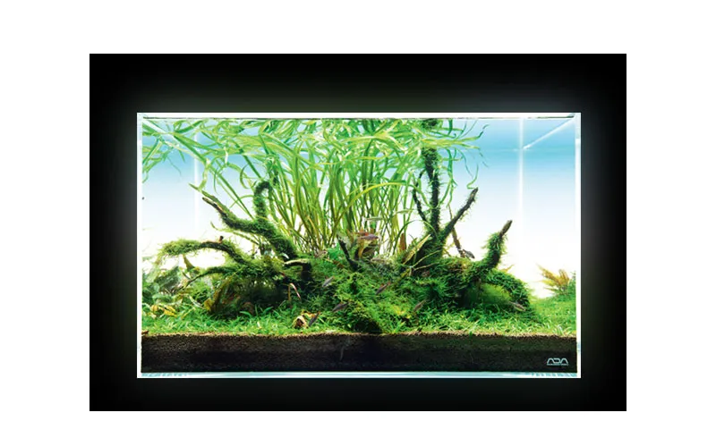 ADA LIGHT SCREEN背景燈