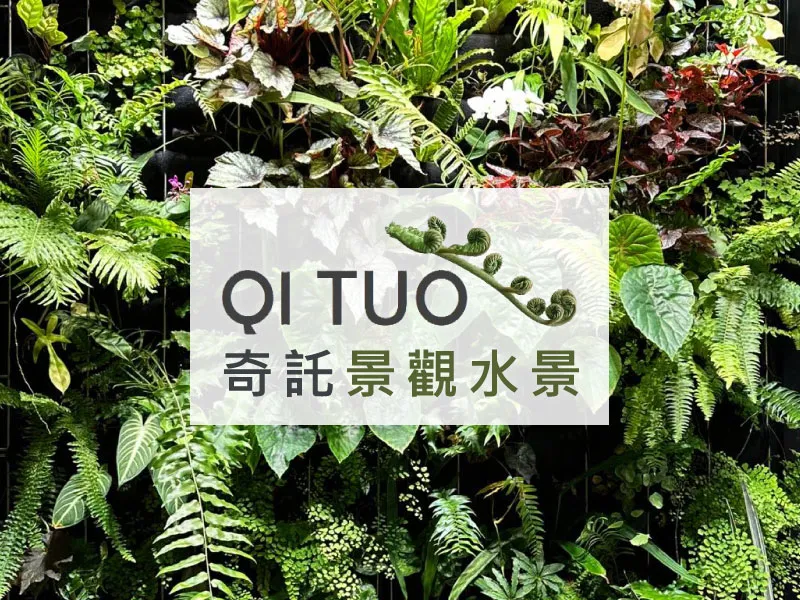 自動灌溉植生牆工程