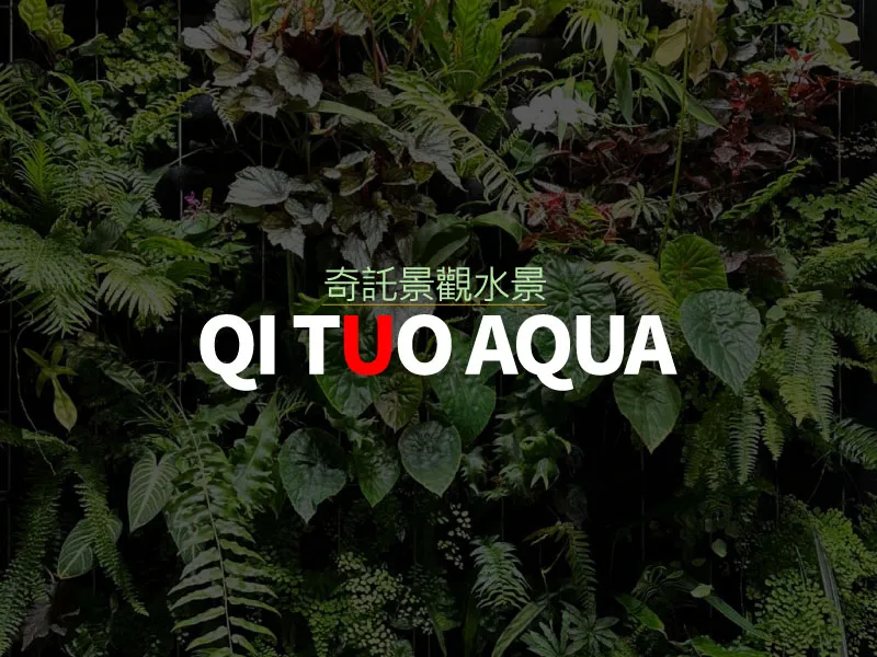 雨林缸設計與訂製