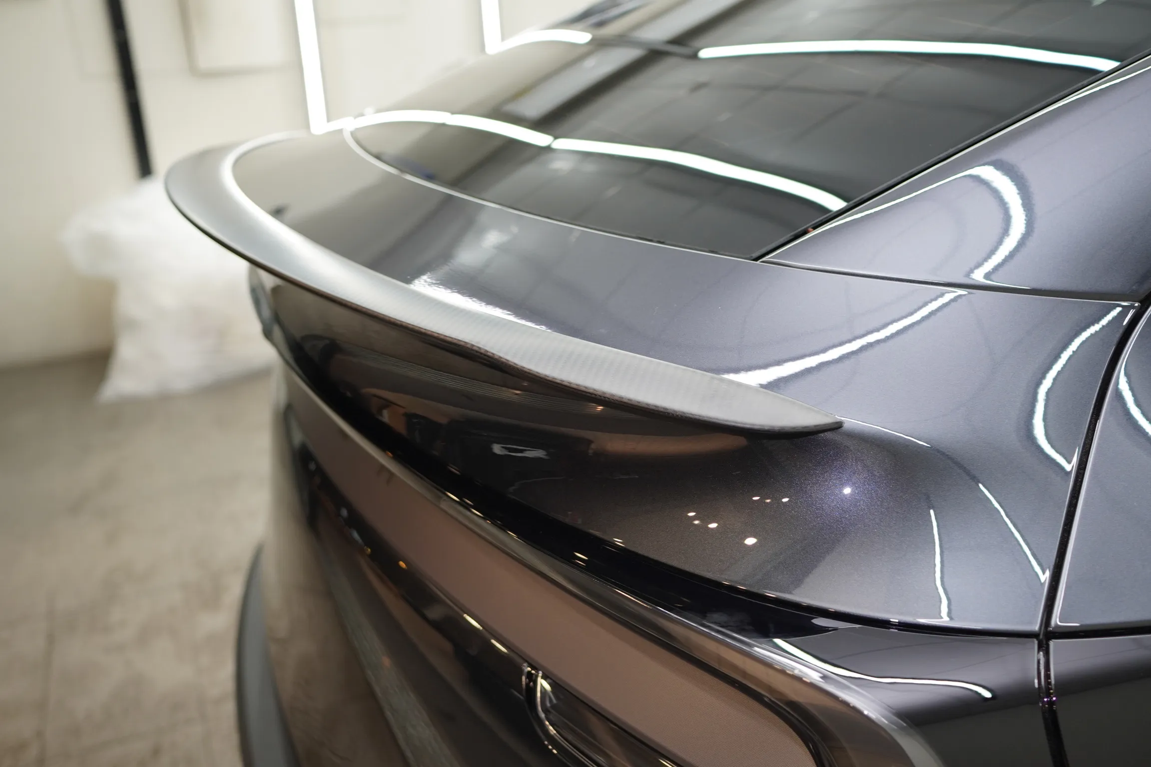 尾翼-煥新Y-真碳纖