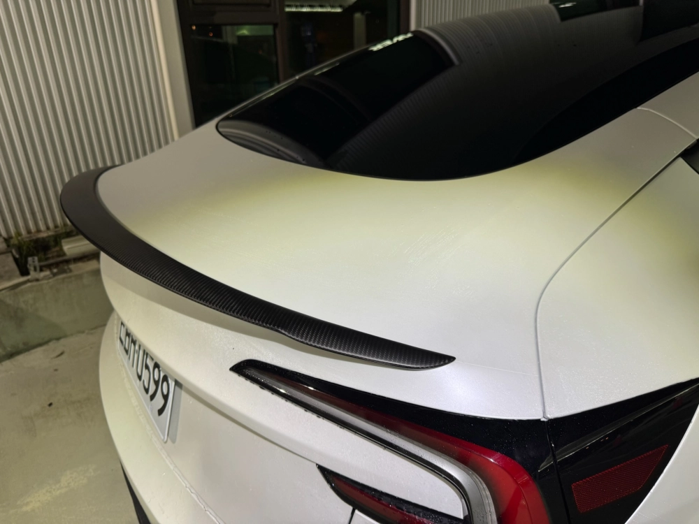 尾翼-煥新3-真碳纖