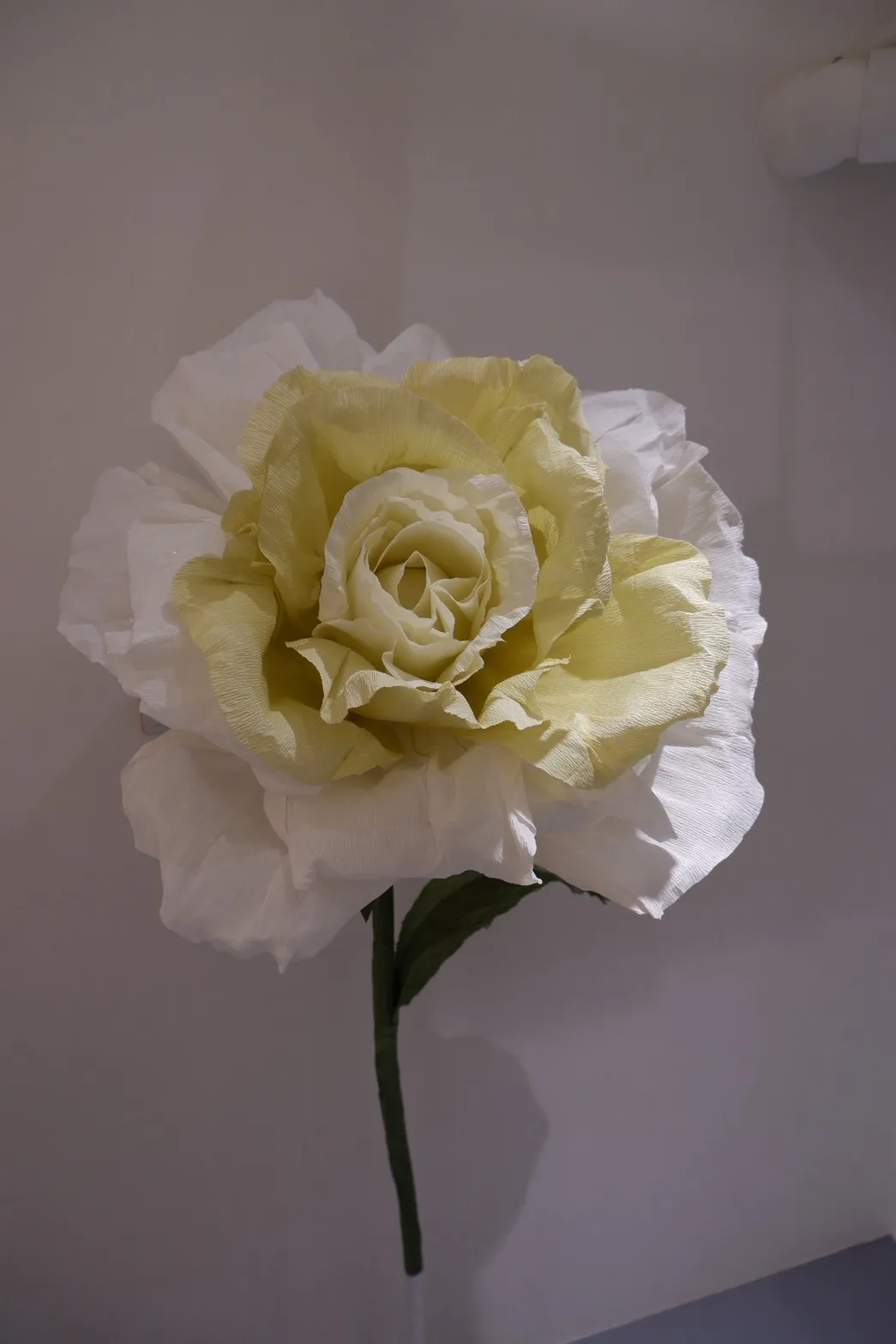 2日香氛紙花+2日巨花芍藥燈花＋玫瑰花33500元