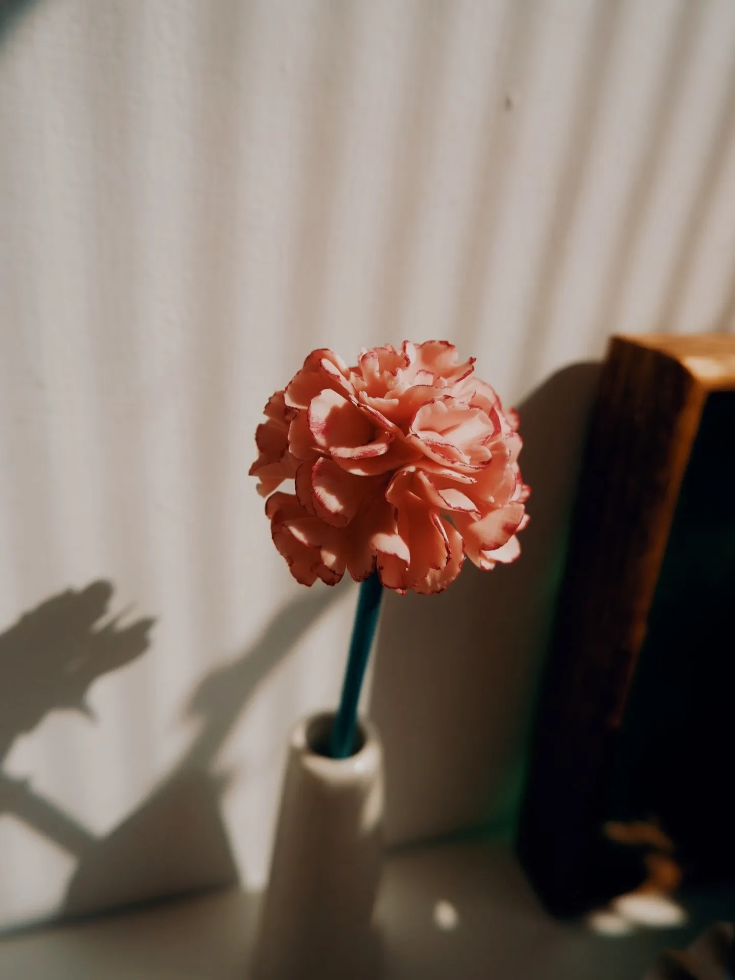 石膏捏塑-康乃馨 學生作品