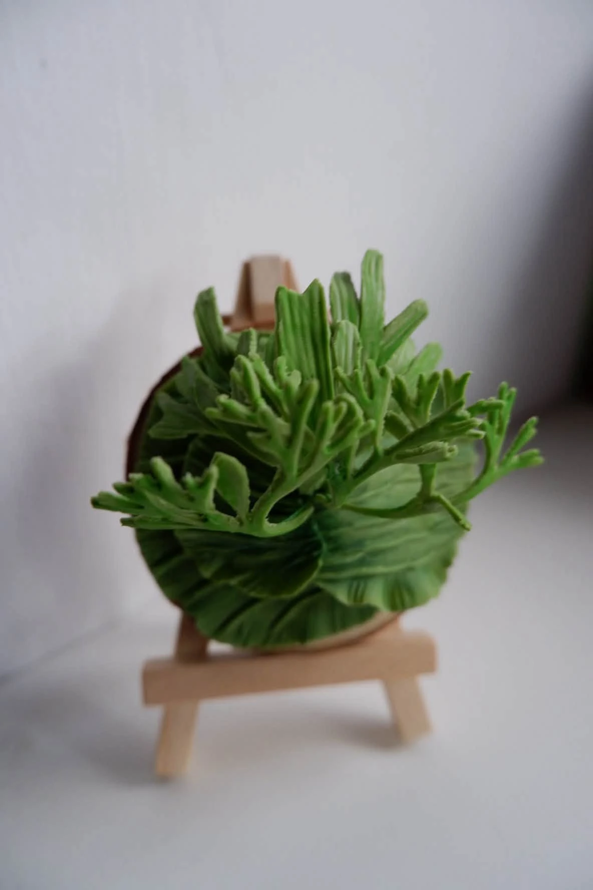 石膏捏塑-蕨類植物體驗課