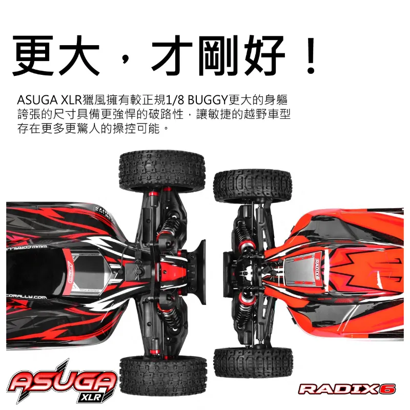 《 1/8 無刷短卡 ASUGA XLR 6S 》
