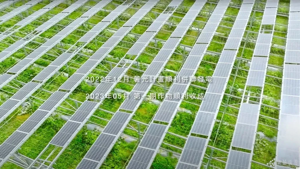 寶晶能源＿全臺首座農電共生示範案場