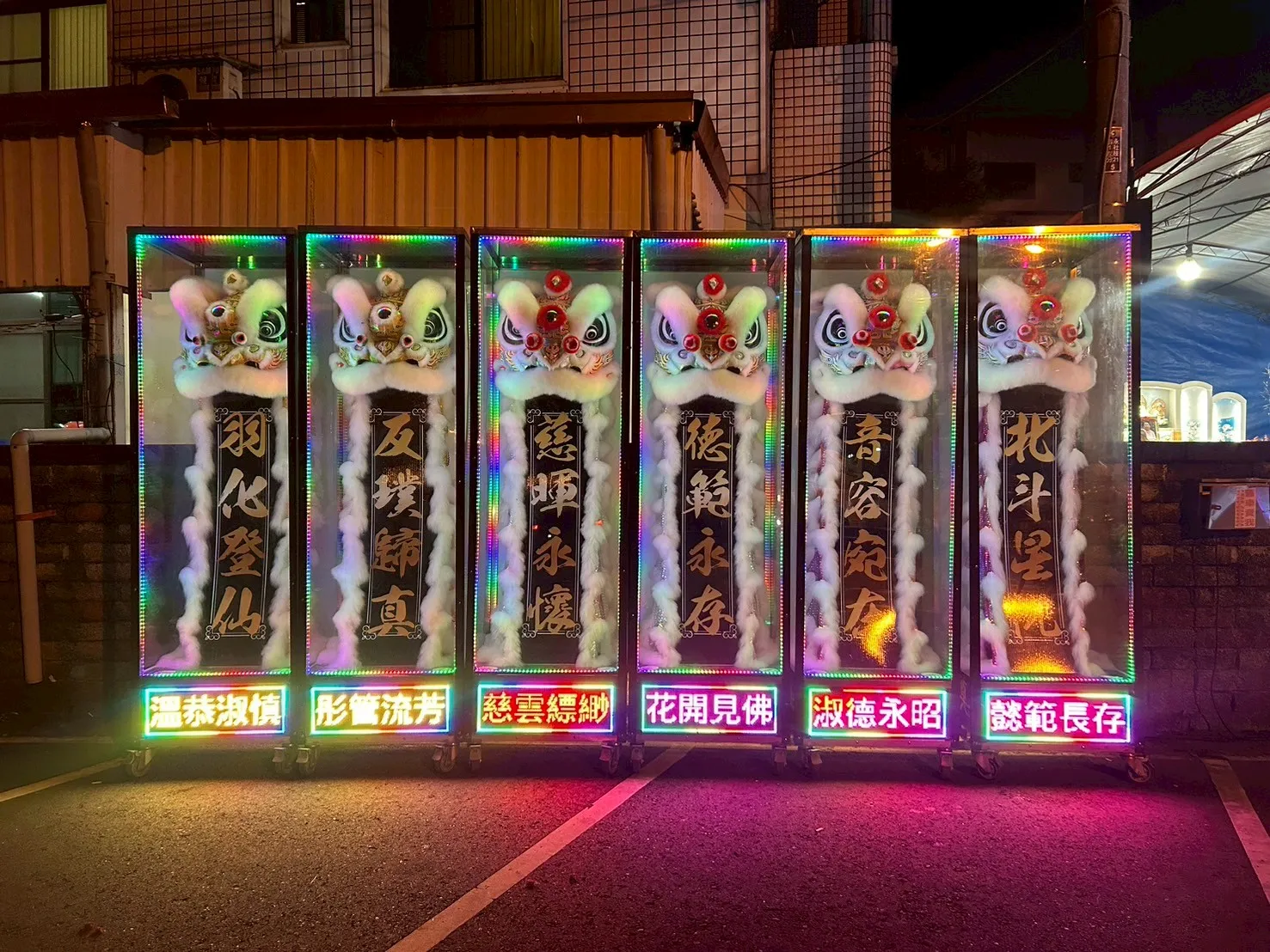 中型靈獅
