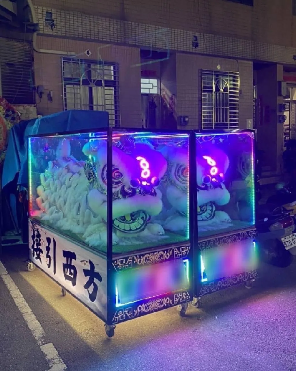 炫彩趴獅