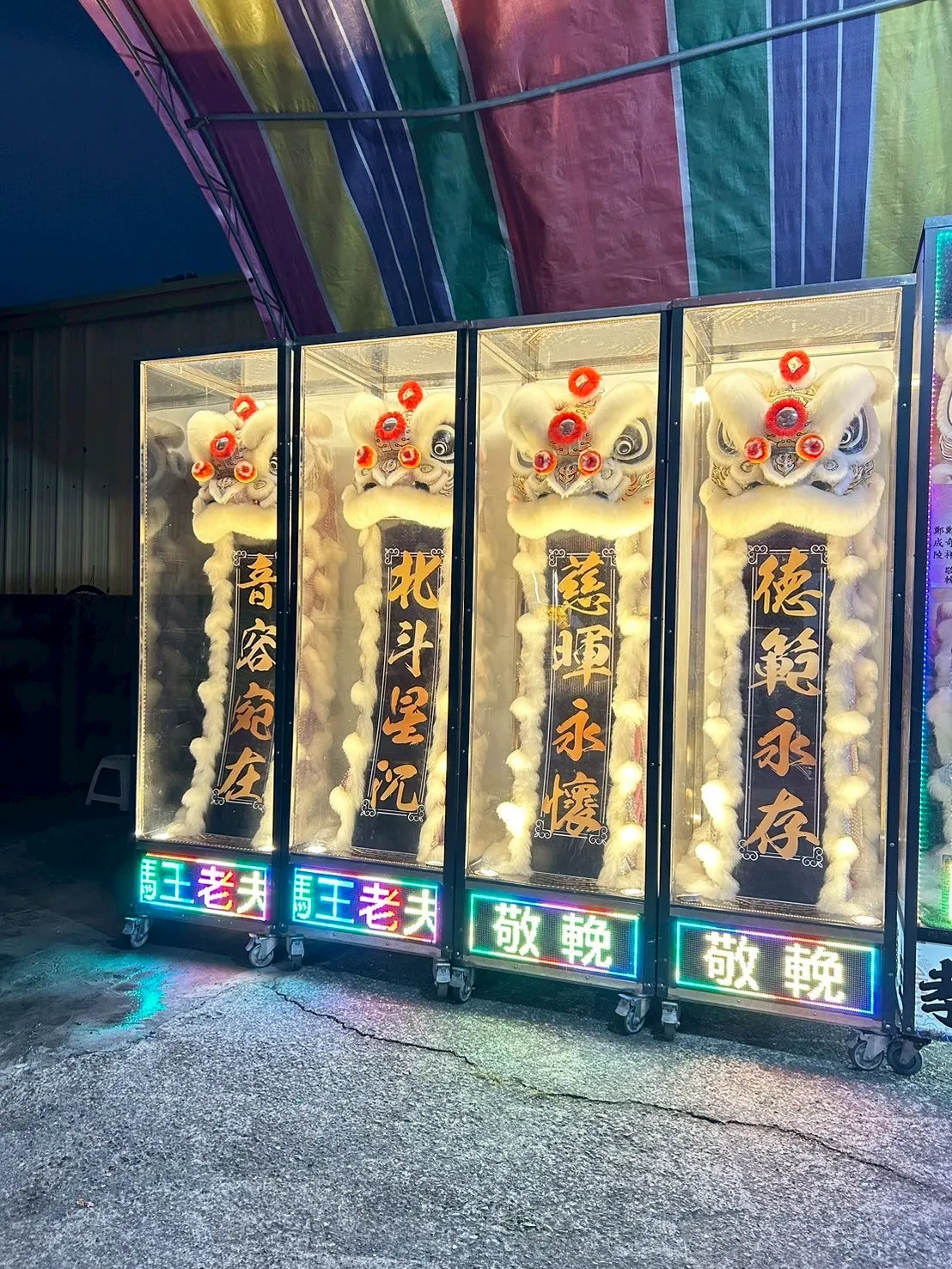 中型靈獅