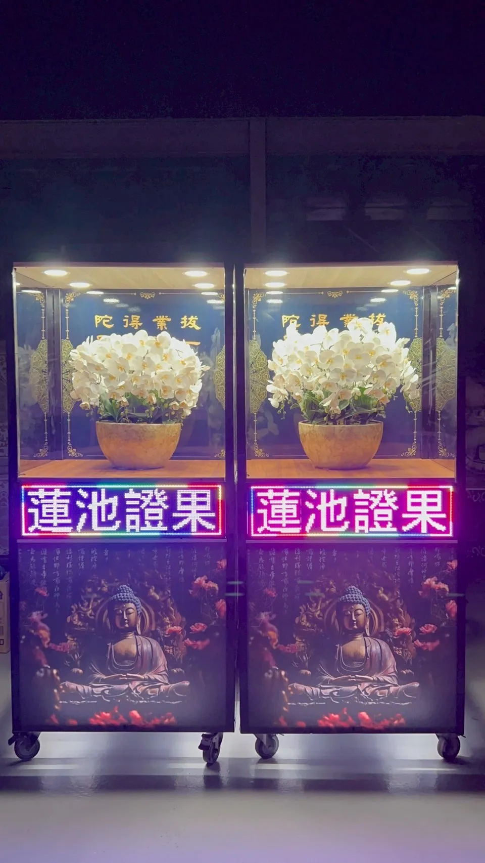 圓滿蘭花櫃