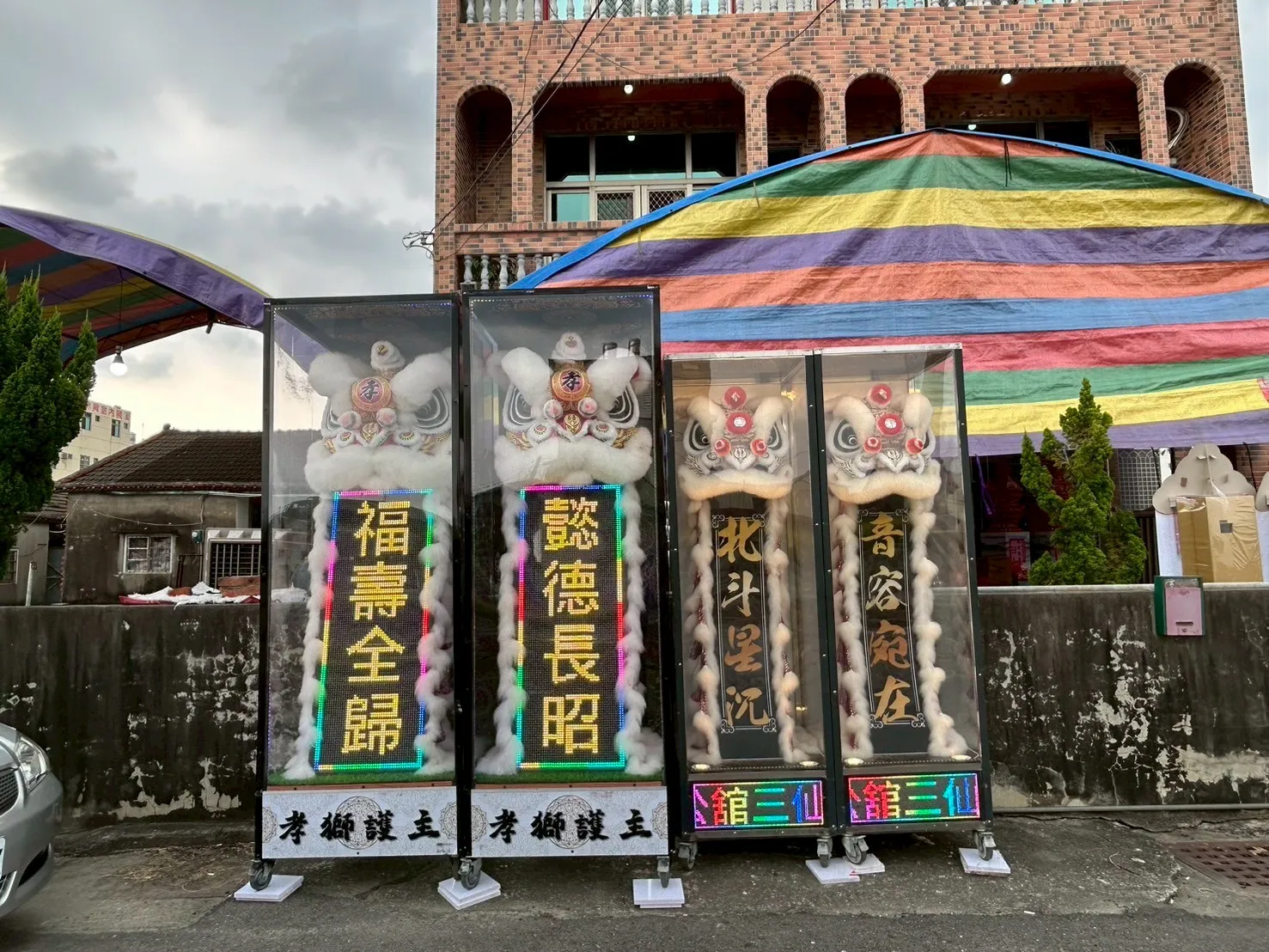中型靈獅