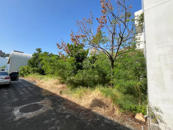 景觀除草｜台中景觀除草｜台中防水工程｜大雅景觀除草｜大雅防水工程