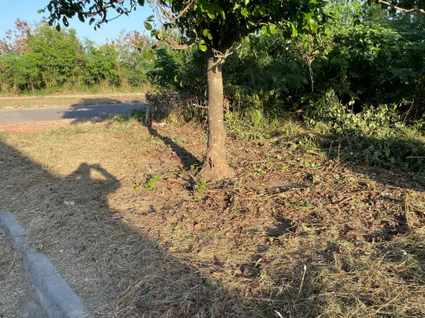 景觀除草｜台中景觀除草｜台中防水工程｜大雅景觀除草｜大雅防水工程