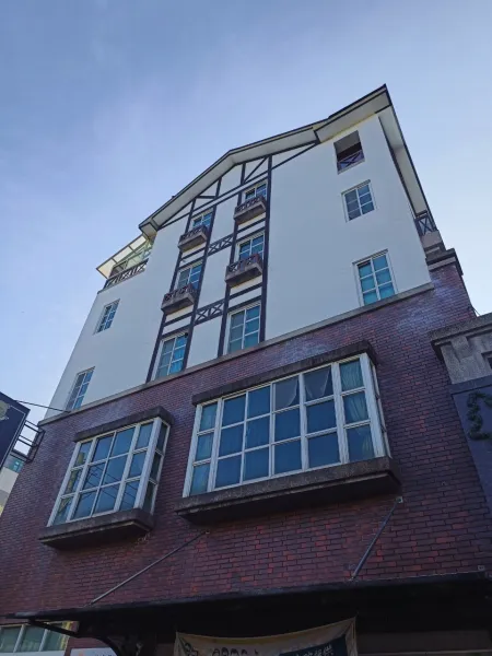 外牆防水蜘蛛人｜台中外牆防水蜘蛛人｜台中防水工程｜大雅外牆防水蜘蛛人｜大雅防水工程