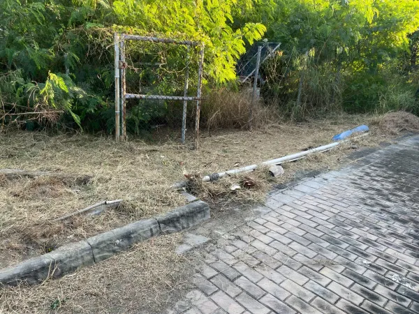 景觀除草｜台中景觀除草｜台中防水工程｜大雅景觀除草｜大雅防水工程