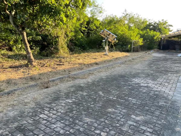 景觀除草｜台中景觀除草｜台中防水工程｜大雅景觀除草｜大雅防水工程